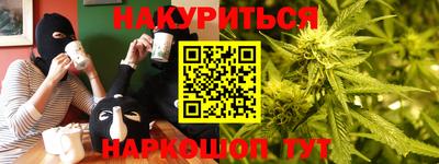 индика Будённовск