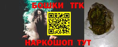 индика Будённовск